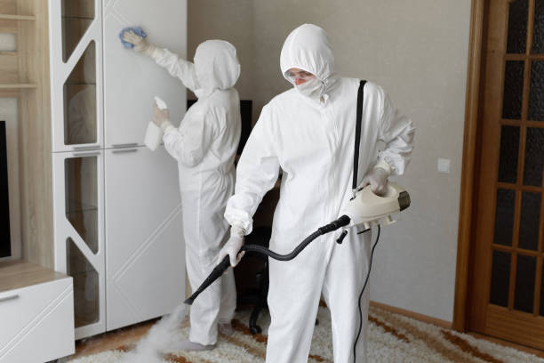 Best Attic Mold Remediation in West Glendive, MT