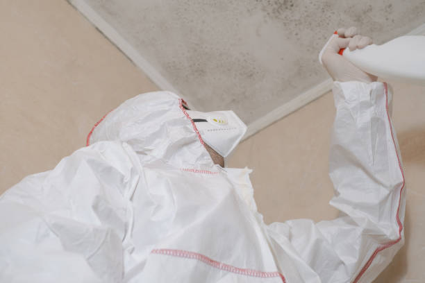 Best Crawl Space Mold Remediation in West Glendive, MT