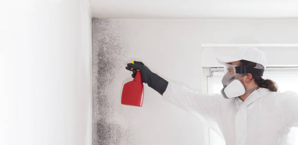 Best Mold Testing and Inspection Services in West Glendive, MT