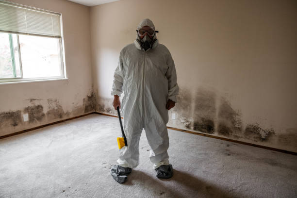 Best Emergency Mold Remediation in West Glendive, MT